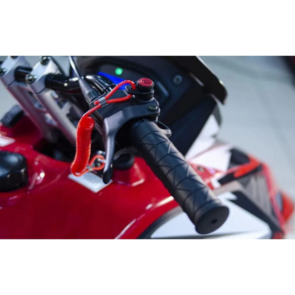 Снегоход ATAKI WD 300