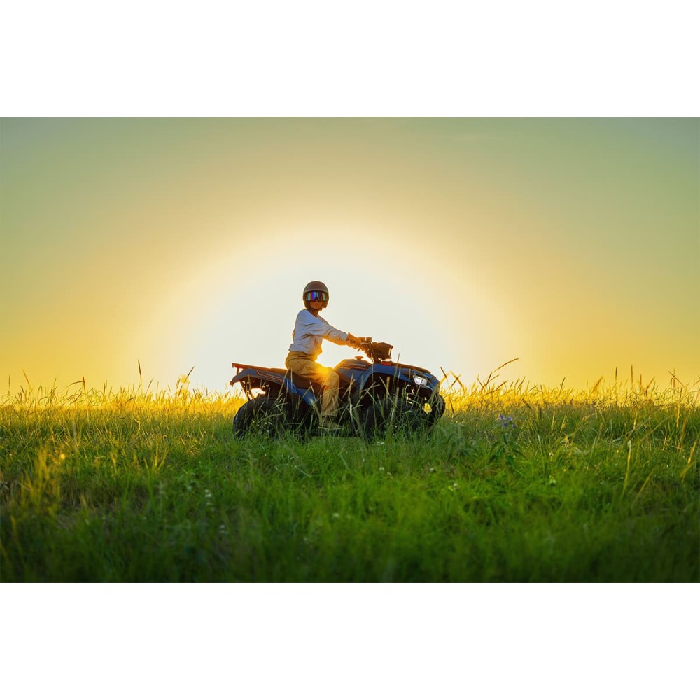 Квадроцикл KAWASAKI Brute Force 450 4x4 (2025)