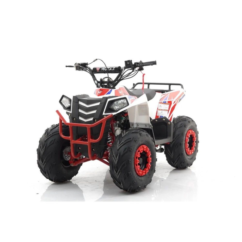 Квадроцикл MOTAX Grizlik A110