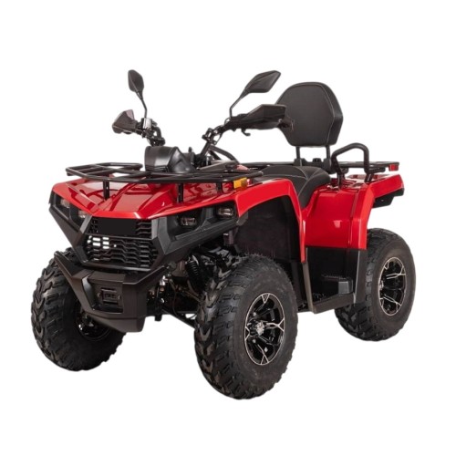 Квадроцикл BIZON YK250 Lux EFI