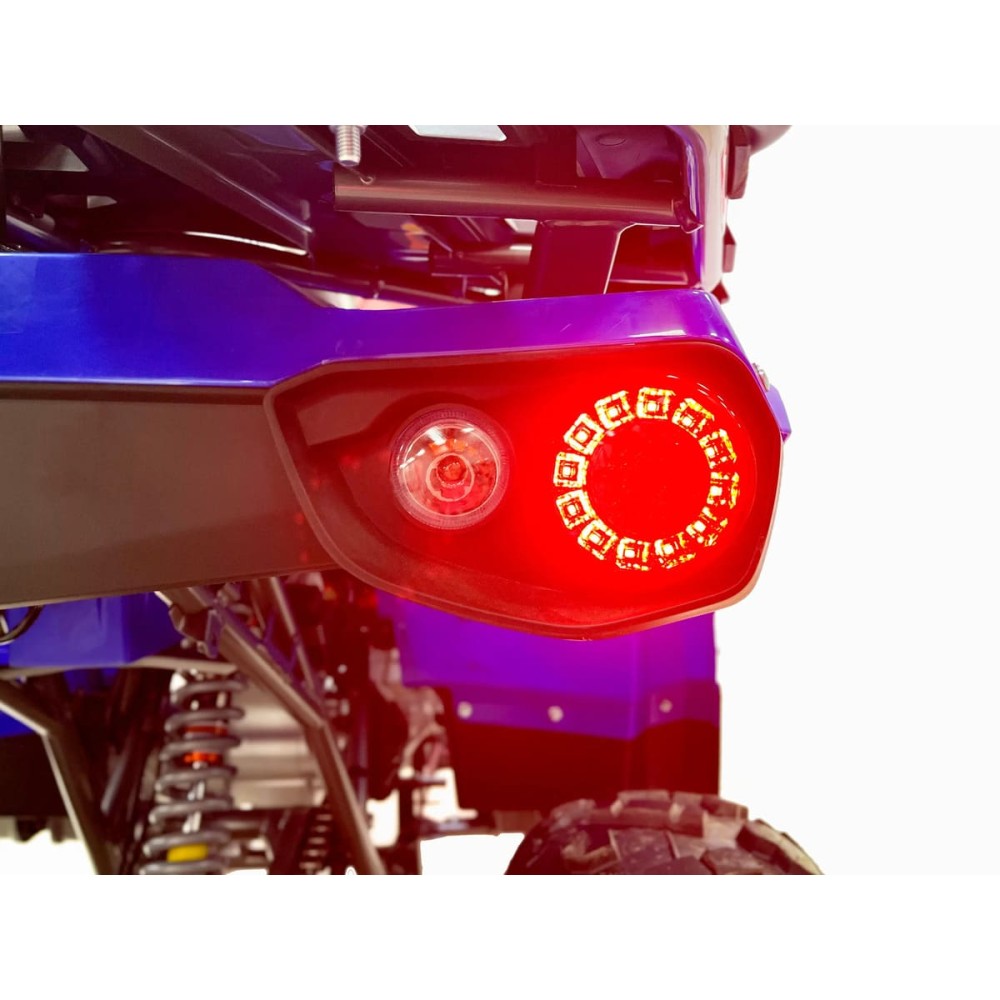 Квадроцикл MOTAX Grizlik 200 ULTRA BIG