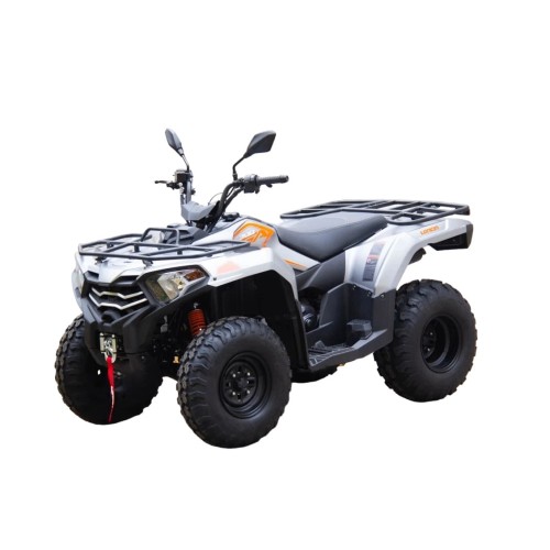 Квадроцикл LONCIN TRV350 Pro 22