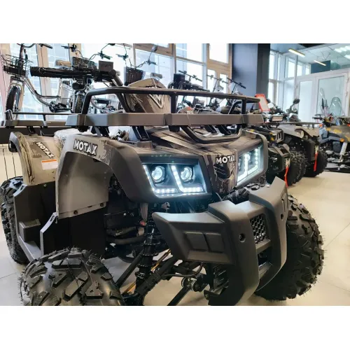 Квадроцикл MOTAX Grizlik T 200