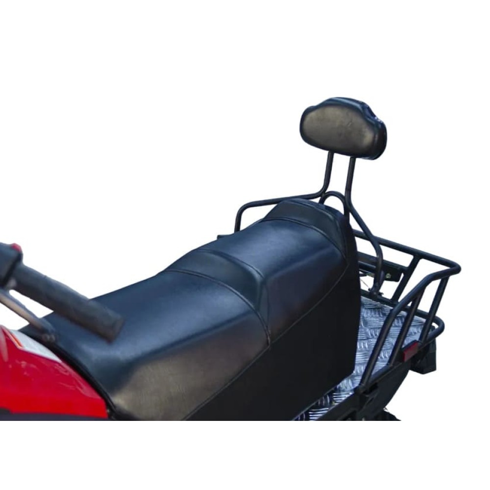 Снегоход ATAKI WD 300