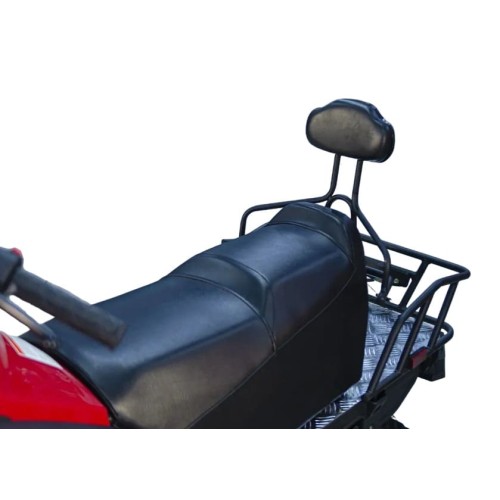 Снегоход ATAKI WD 300