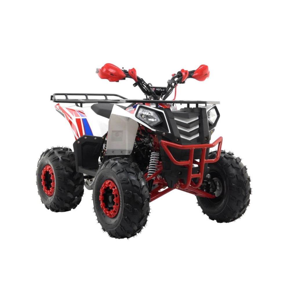 Квадроцикл MOTAX Grizlik A125