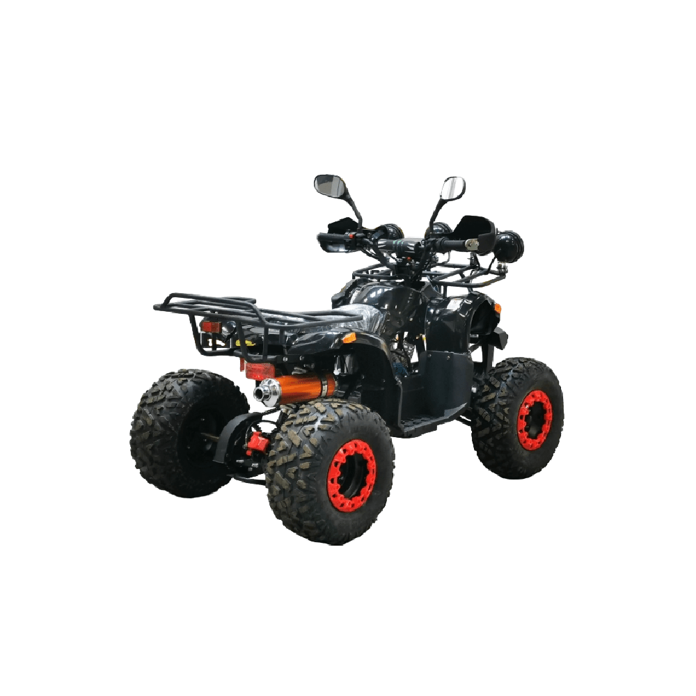 Квадроцикл BISON Kids 125 LD