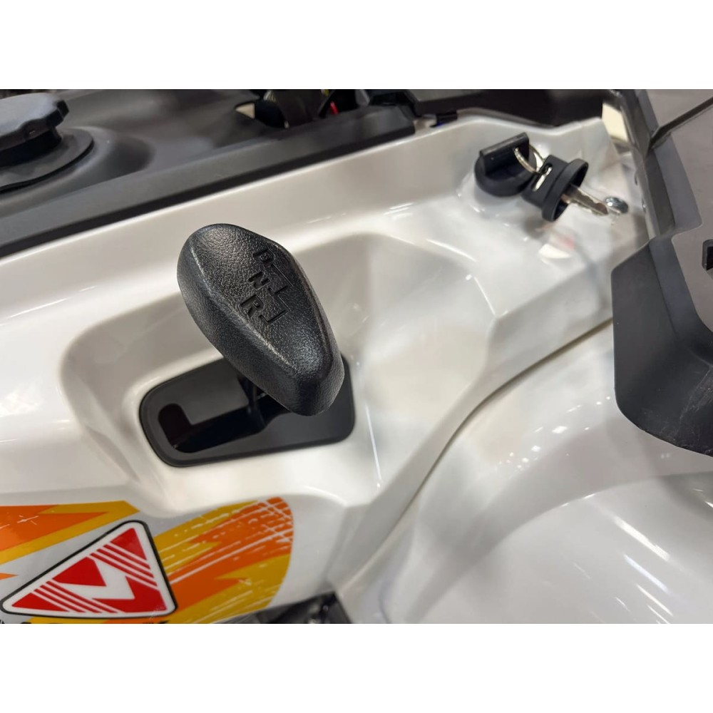 Квадроцикл MOTAX Grizlik 200 ULTRA BIG