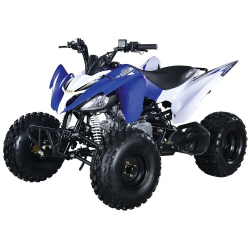 Квадроцикл ABM Scorpion 125M