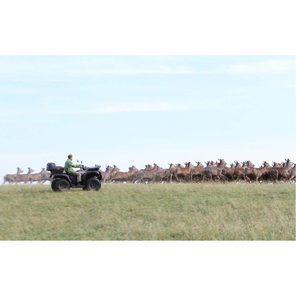 Квадроцикл BALTMOTORS Striker 700 EFI (ПСМ)