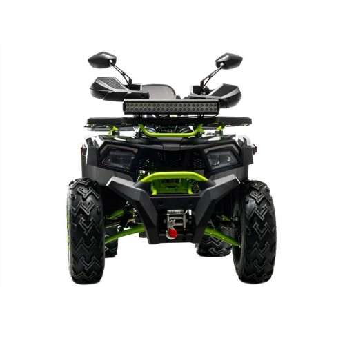 Квадроцикл MOTOLAND 200 Wild Track X Winch