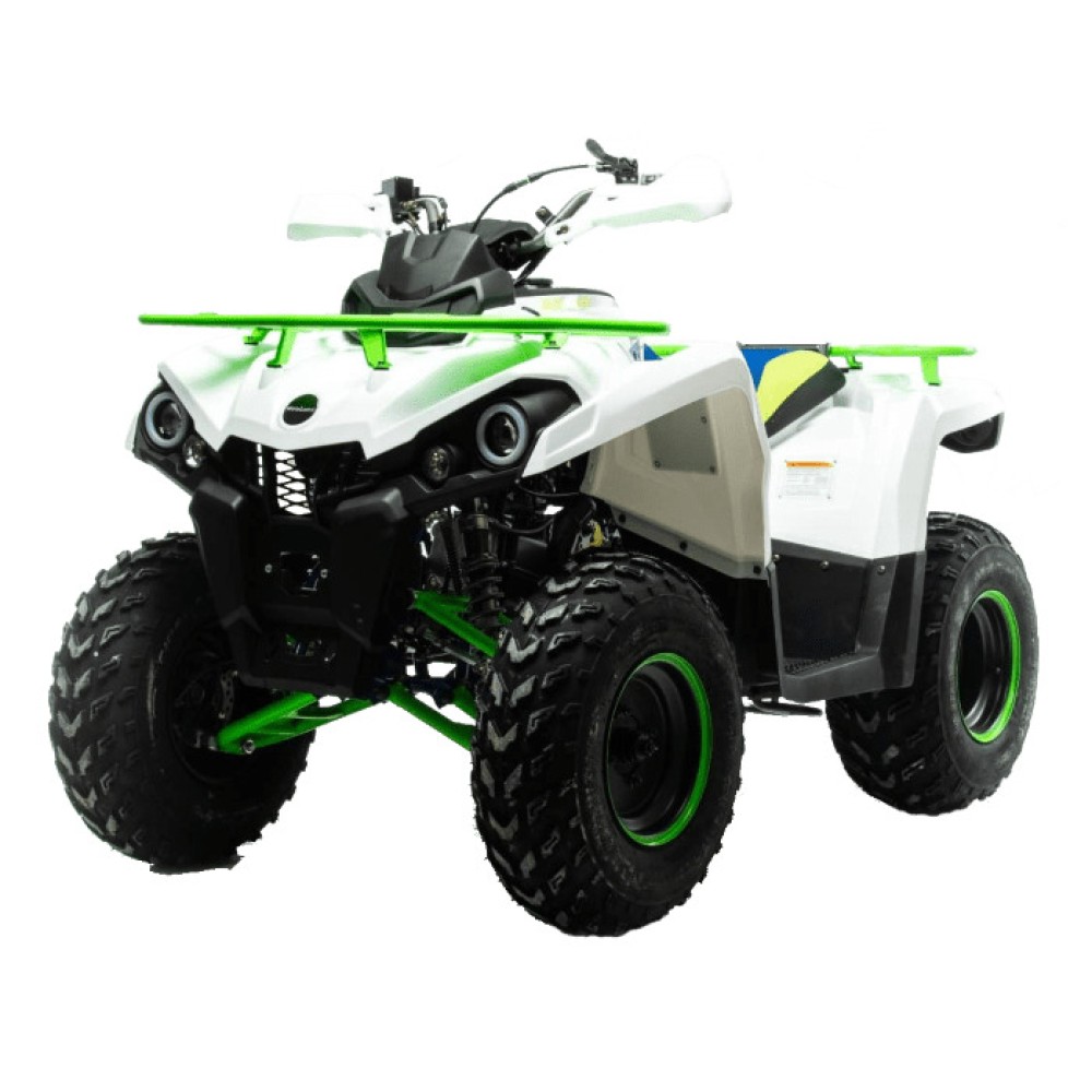 Квадроцикл MOTOLAND 200 Shark (2021 Г.)