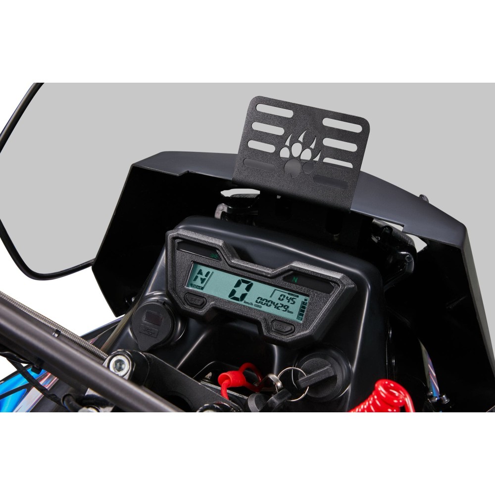 Снегоход IRBIS SF300