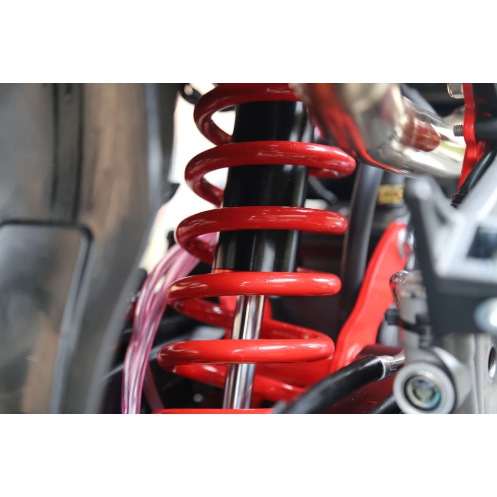 Мотоцикл кроссовый эндуро PROCIDA 2020 PR300