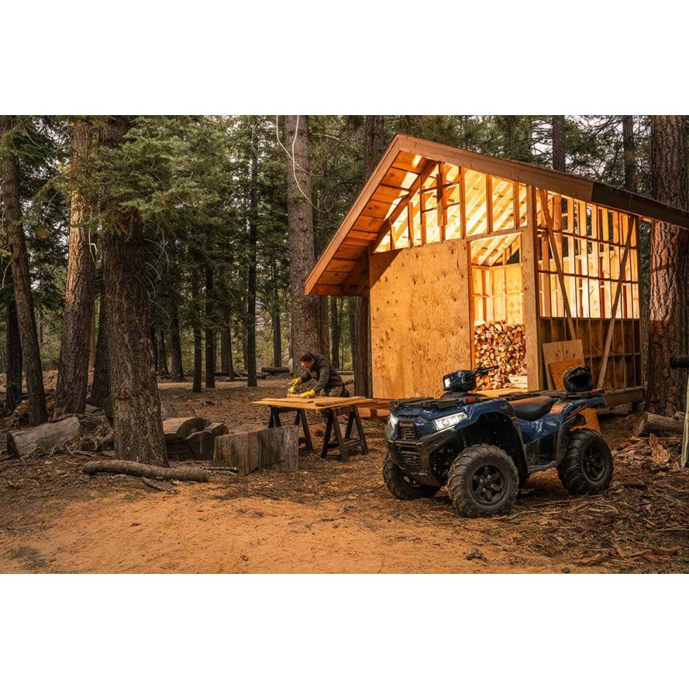 Квадроцикл KAWASAKI Brute Force 750 EPS (2024) (ПСМ)