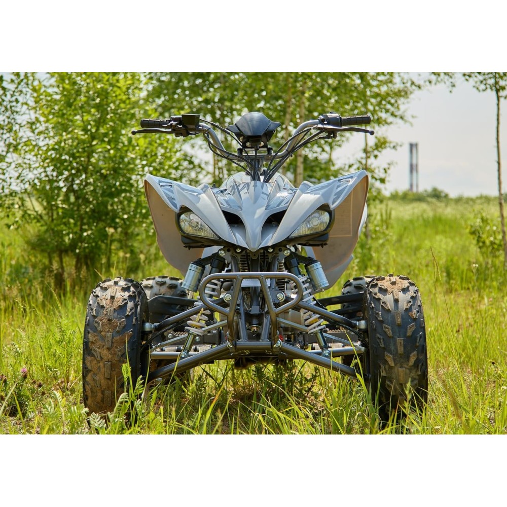 Квадроцикл SHARMAX Raizer Race Cup 250