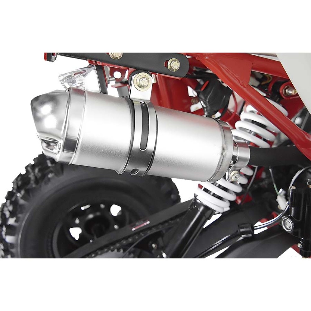 Квадроцикл WELS Thunder EVO X