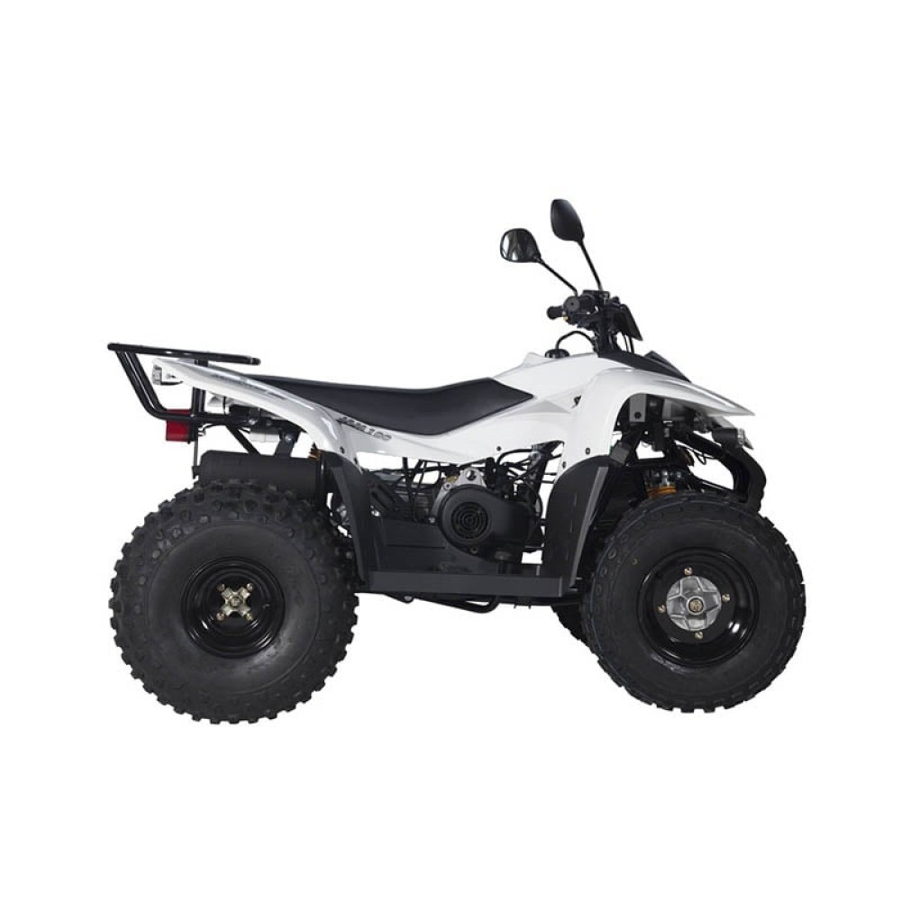 Квадроцикл BALTMOTORS Jam 100