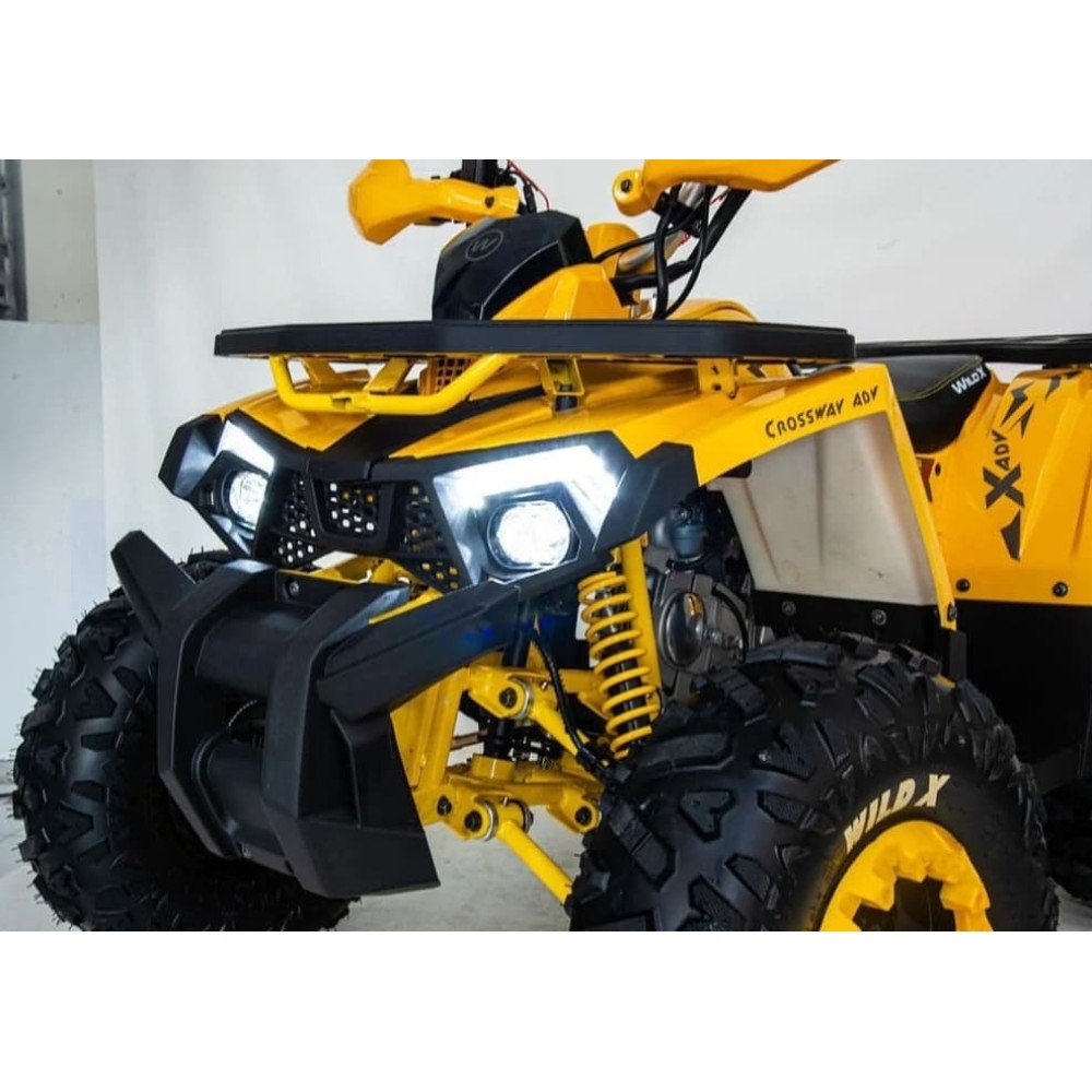 Квадроцикл MOTOLAND 125 Wild (2021 Г.)