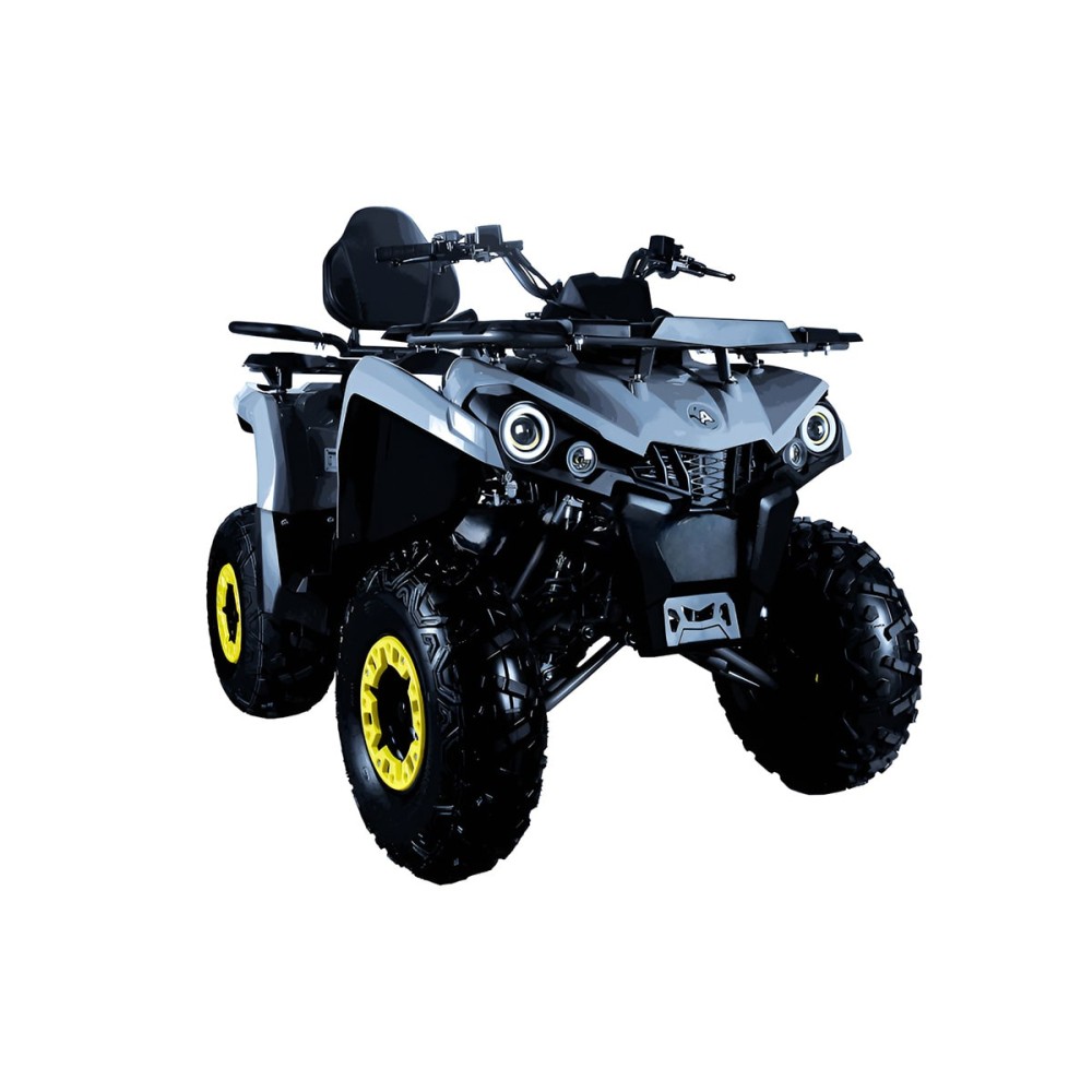 Квадроцикл AVANTIS Forester Long 200 Basic