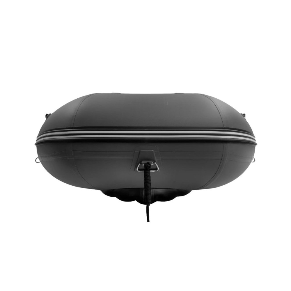 Лодка ПВХ GLADIATOR E420PRO