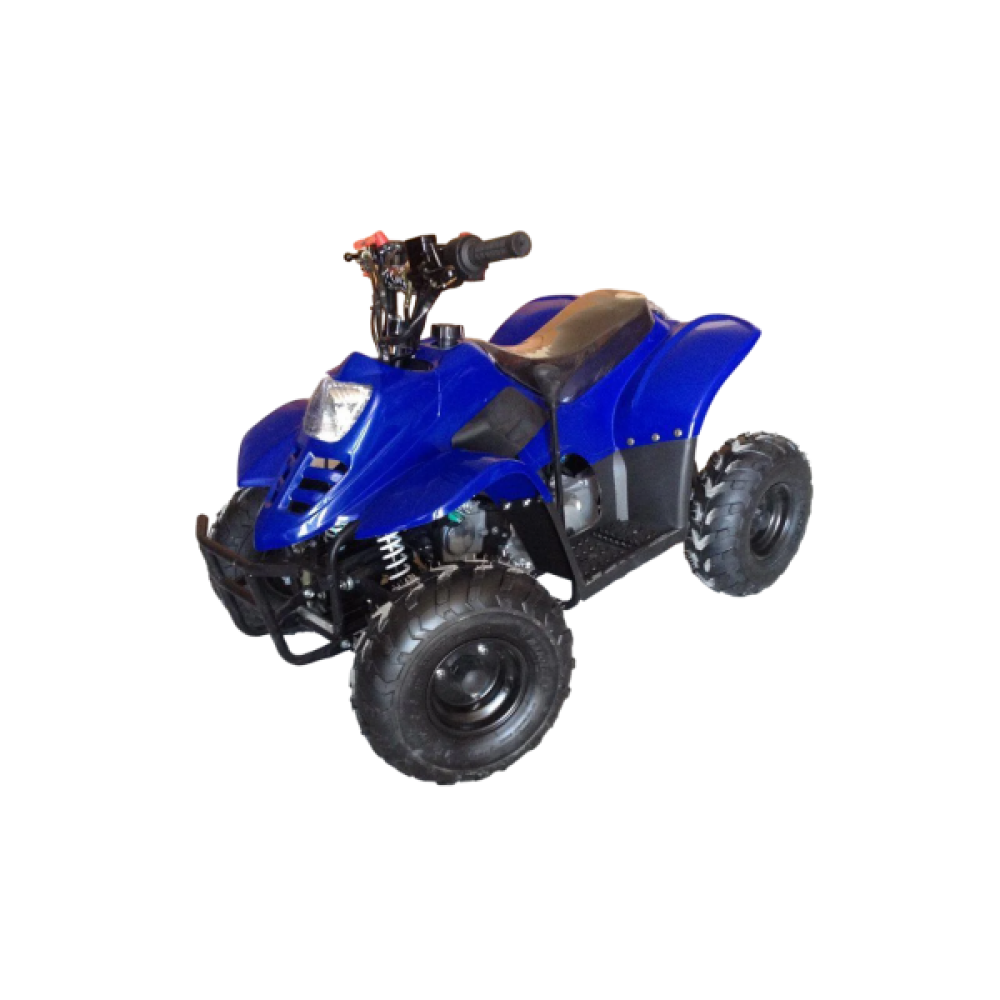 Квадроцикл RAPTOR 110