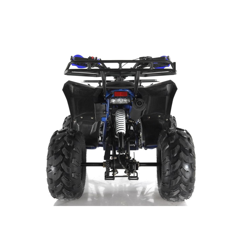 Квадроцикл WELS Thunder EVO