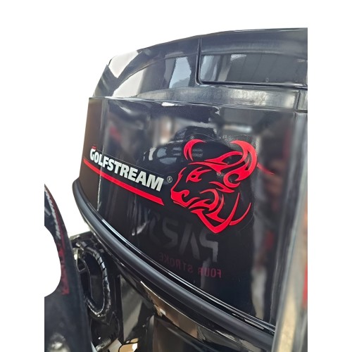 2х-тактный лодочный мотор GOLFSTREAM T50AFWL-T