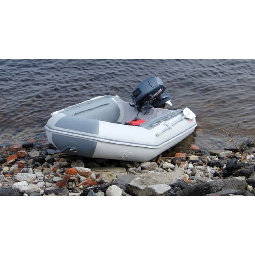 Лодка ПВХ BADGER CL 340