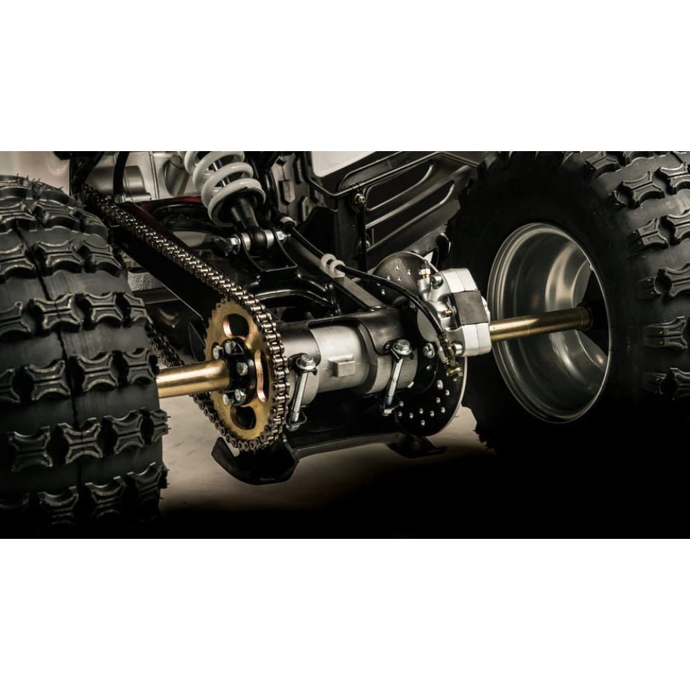 Квадроцикл MOTOLAND 250S