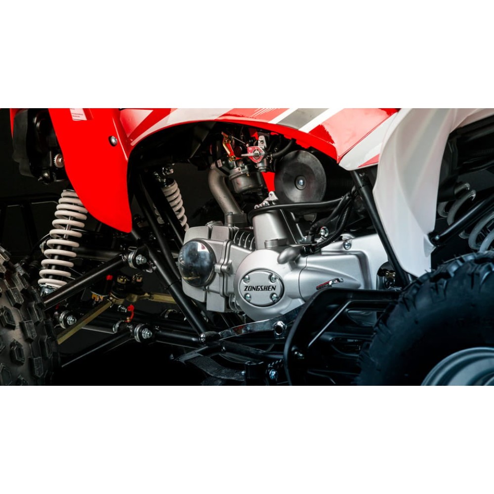 Квадроцикл MOTOLAND 250S