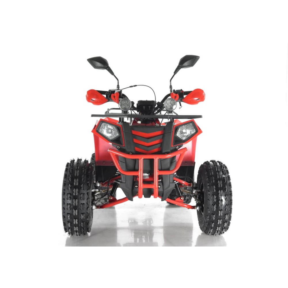 Квадроцикл WELS Thunder EVO X