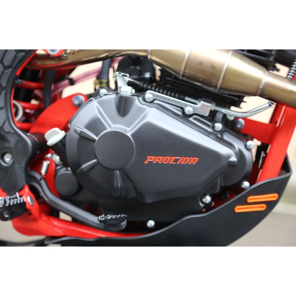 Мотоцикл кроссовый эндуро PROCIDA 2020 PR300