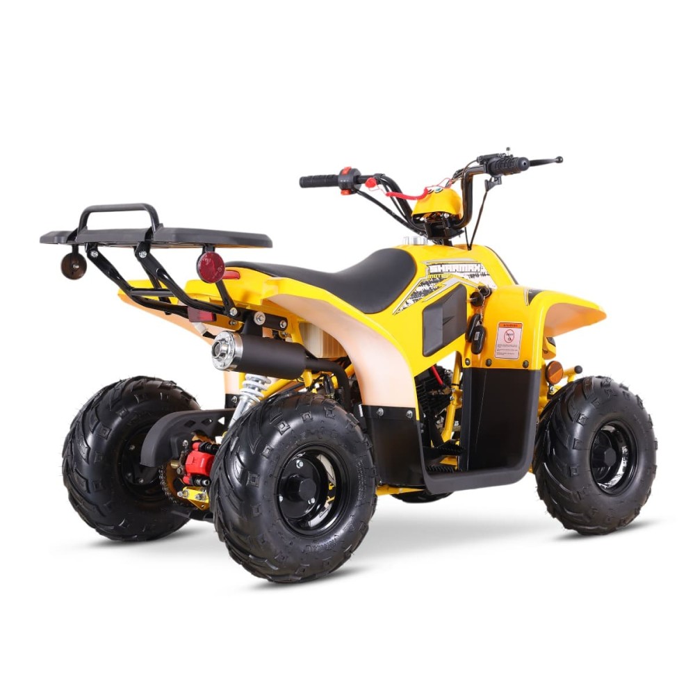 Квадроцикл SHARMAX 130 Cross