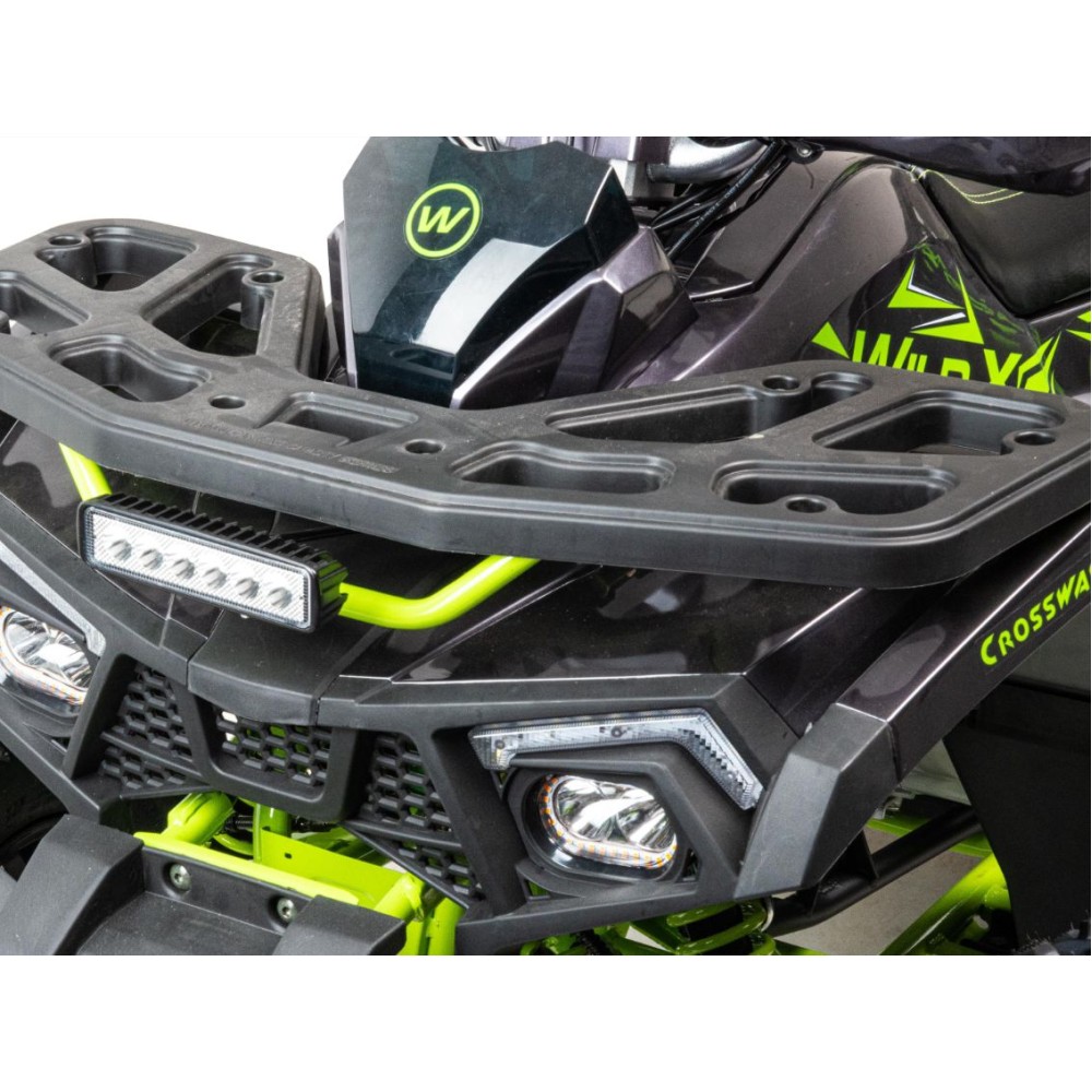 Квадроцикл MOTOLAND 125 Wild X Pro