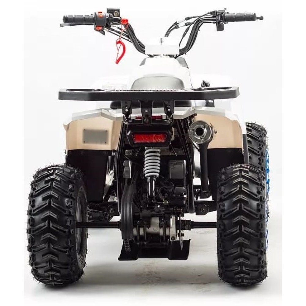 Квадроцикл MZ Eagle 110