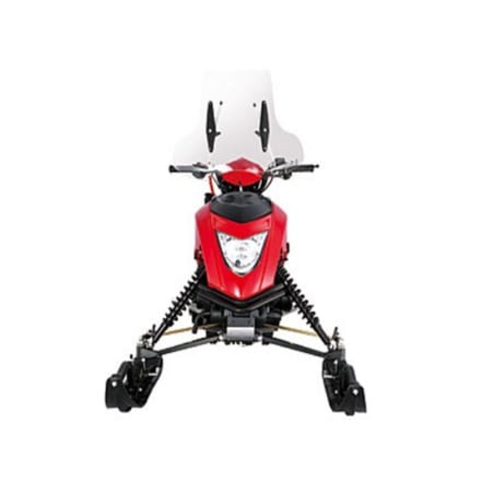 Снегоход REGULMOTO Raccoon разборный