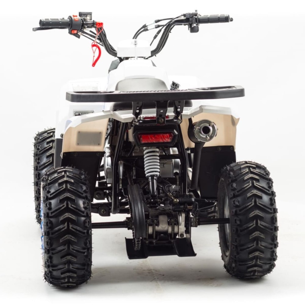 Квадроцикл MOTOLAND 110 Eagle (2021 Г.)