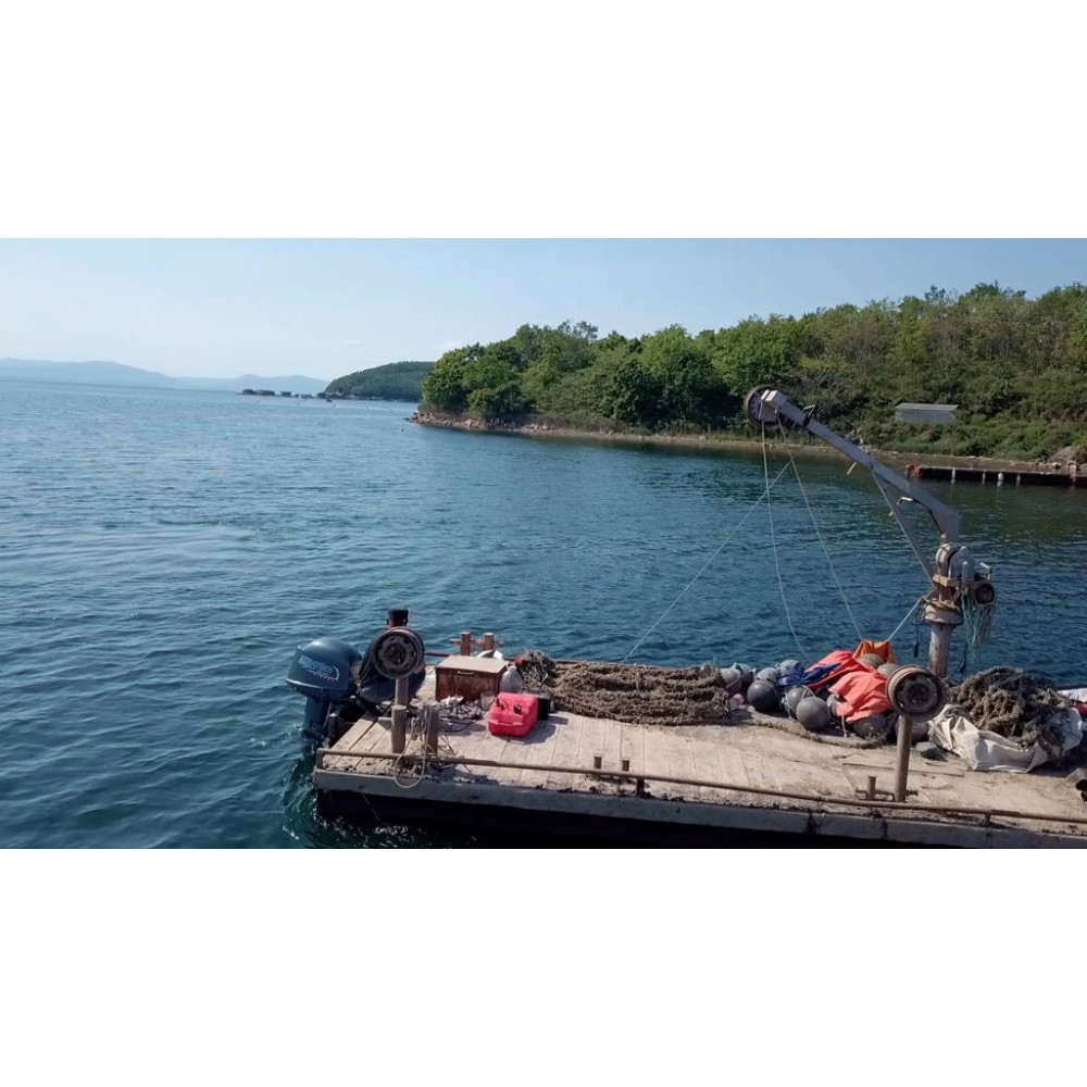 Дизельный лодочный мотор MIKATSU MD30FHL (2024)