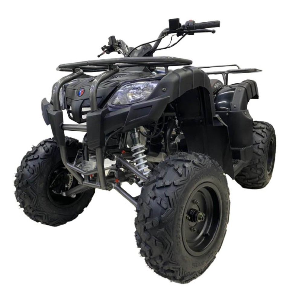 Квадроцикл MOTAX ATV Grizlik 200