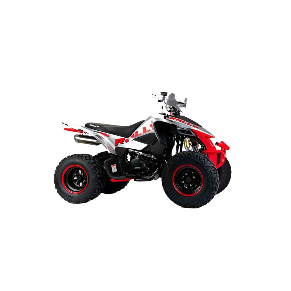 Квадроцикл MOTOLAND RALLY 250