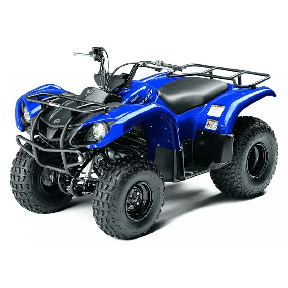 Квадроцикл GRIZZLY 125сс детский