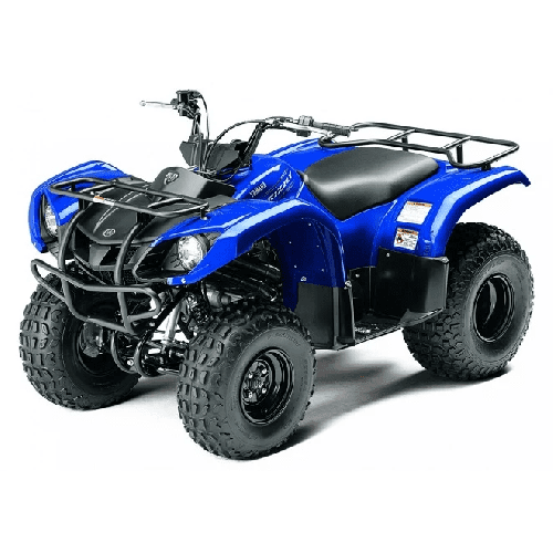 Квадроцикл GRIZZLY 125сс детский