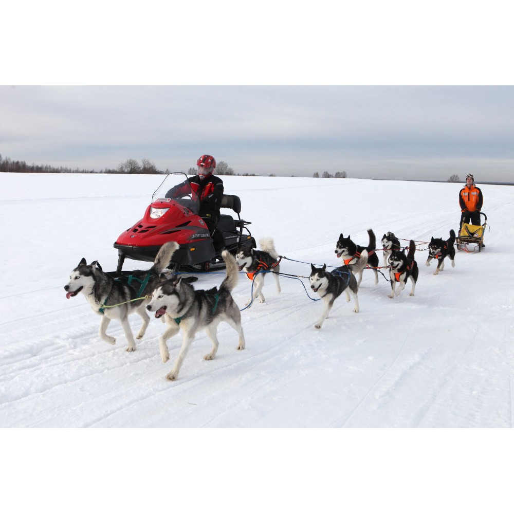 Снегоход РУССКАЯ МЕХАНИКА Тайга Варяг 550V