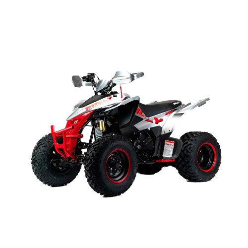 Квадроцикл MOTOLAND RALLY 250