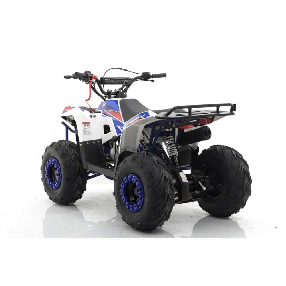 Квадроцикл MOTAX Grizlik A110