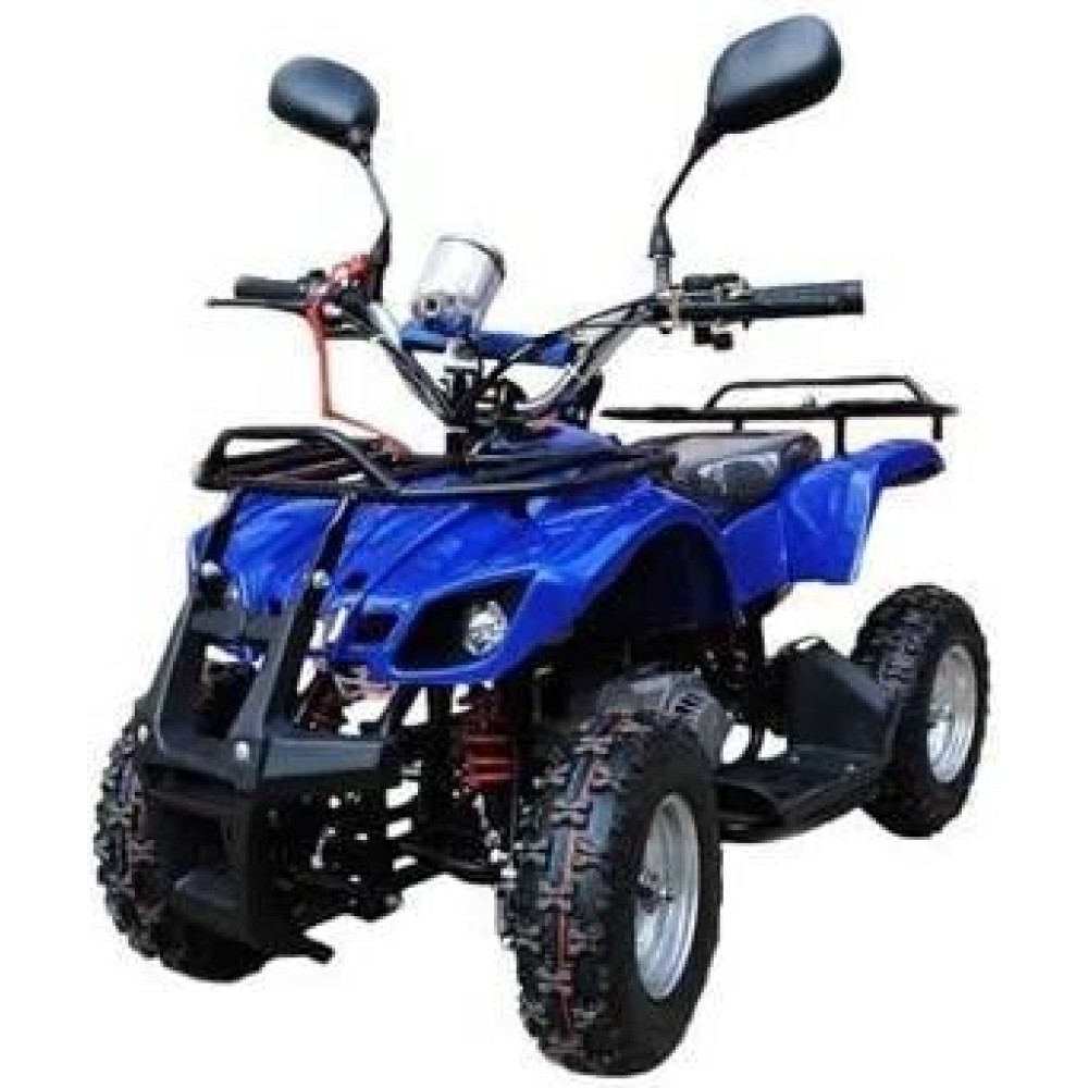 Квадроцикл RAPTOR MAX PRO 49cc (2024)