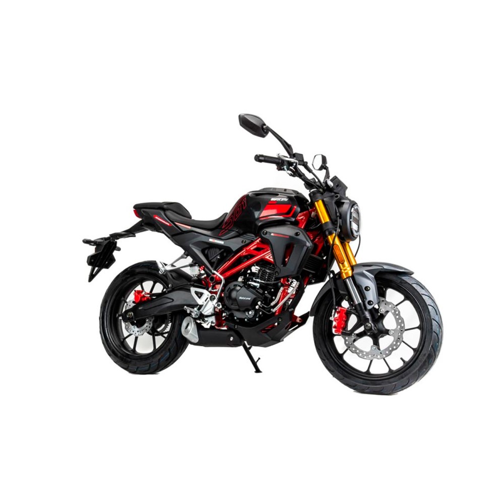 Мотоцикл MOTOLAND 501 (172FMM-5/PR250) ТУРЭНДУРО