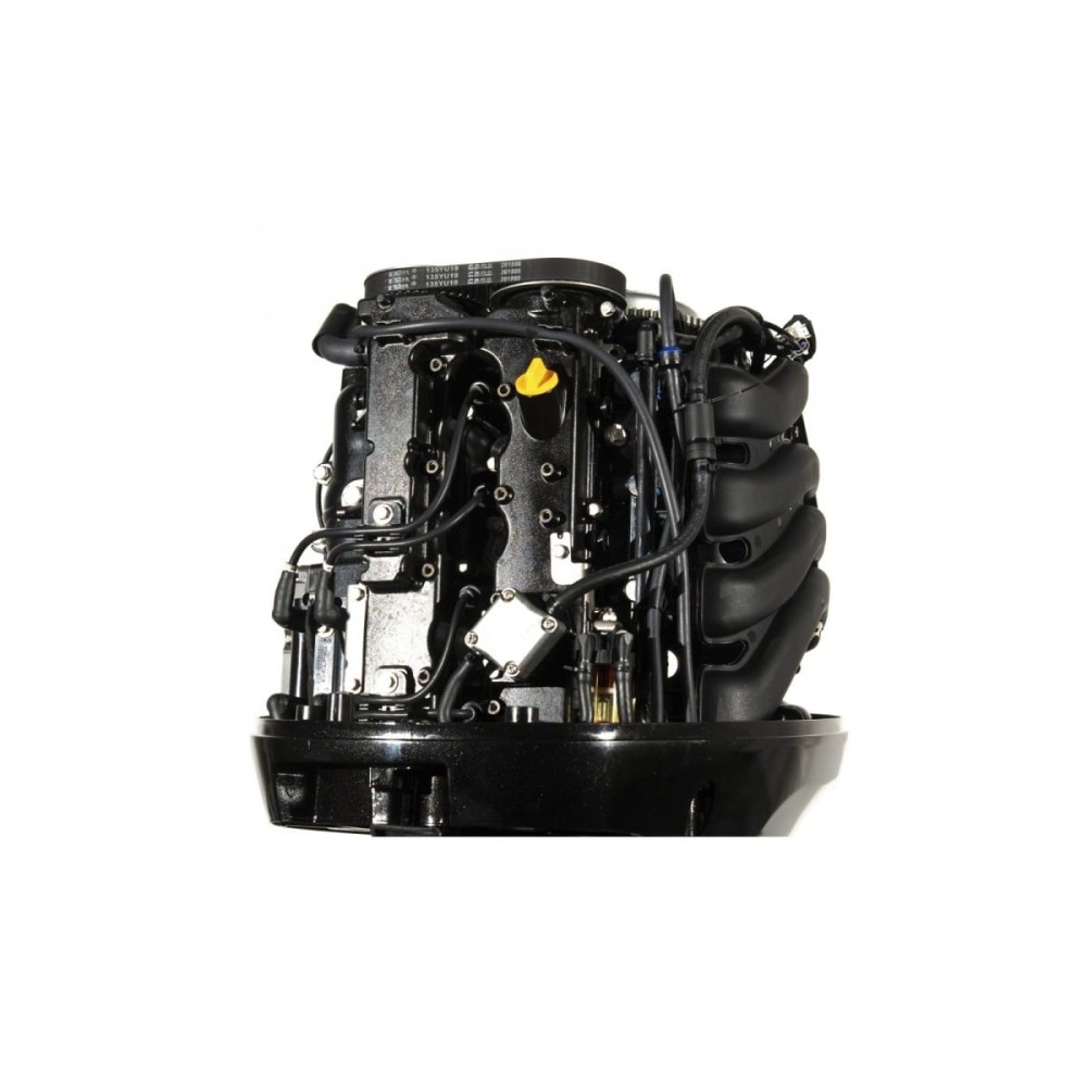 4х-тактный лодочный мотор GOLFSTREAM F100FEL-T EFI