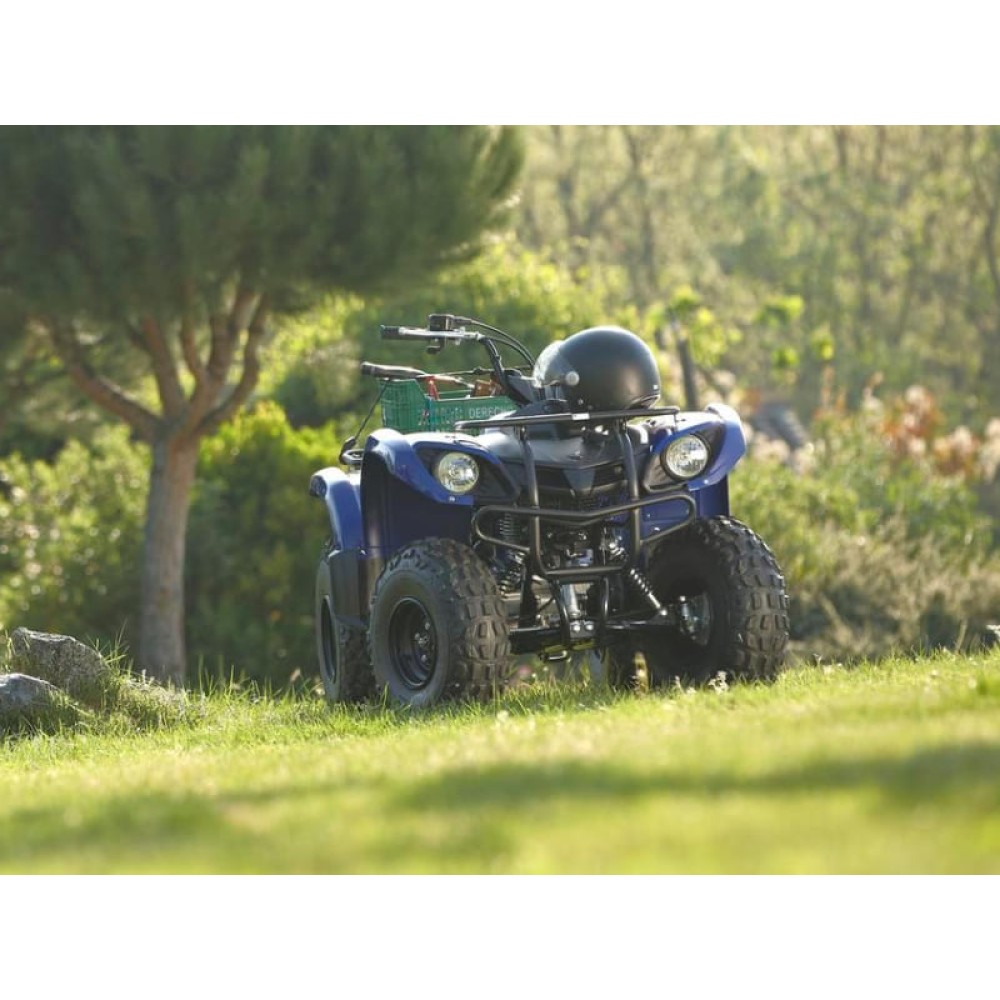 Квадроцикл GRIZZLY 125